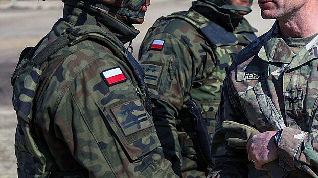 Польские наемники признались в «выполнении задач» с боевиками из РДК*