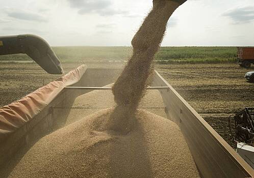 Поставки российского зерна в Европу резко упали