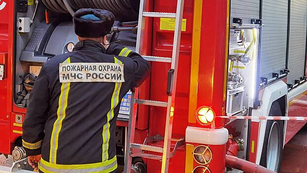 Пожар на строительном рынке в Новой Москве ликвидировали