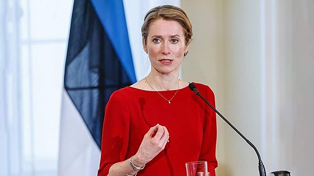 Премьер Эстонии не стала исключать отправку военных на Украину