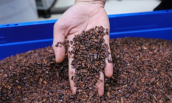 Крупнейшие заводы Африки по производству какао остановили работу