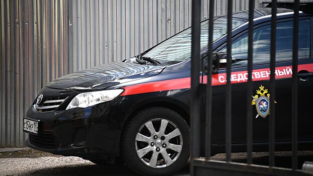 СК возбудил дело после избиения женщины-таксиста в Подмосковье