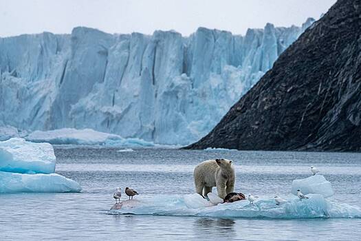 Режиссер фильма «В Арктику» рассказал, как лента изменила его жизнь