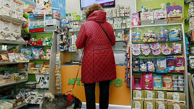 В России начали действовать новые правила продажи животных