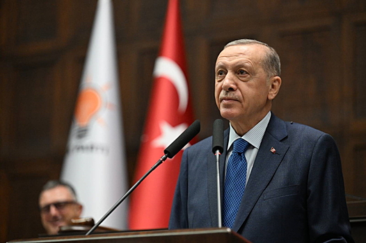 Соратник Эрдогана призвал его не уходить из политики