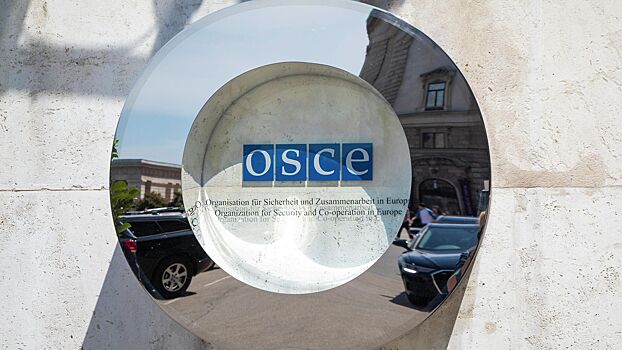 США созвали в ОБСЕ группу по поводу России