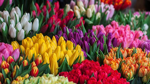 Топ-5 самых популярных цветов к 8 марта
