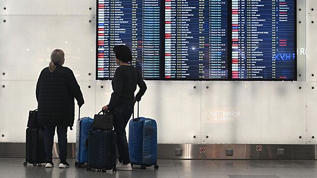 Туристы рассказали об усилении безопасности в аэропортах Москвы
