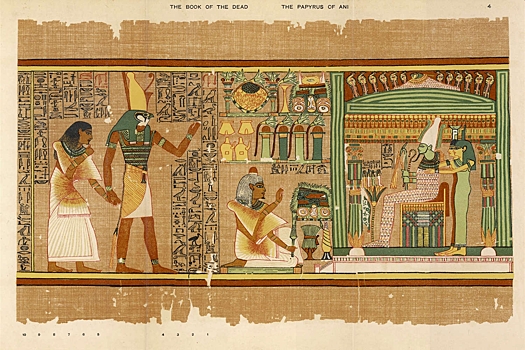 Ученые предложили консервировать папирусы с помощью васаби