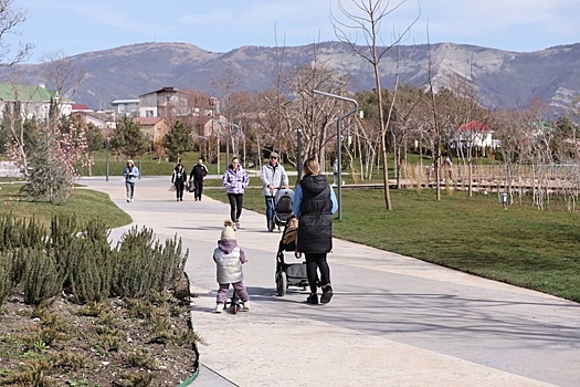 В Геленджике открылся новый курортный парк с кедрами и сакурой