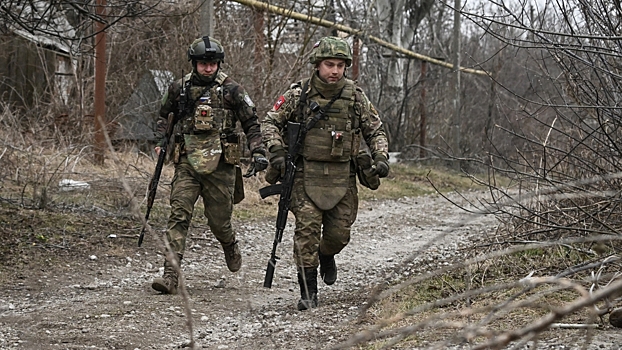 В Германии спрогнозировали сроки заморозки конфликта на Украине