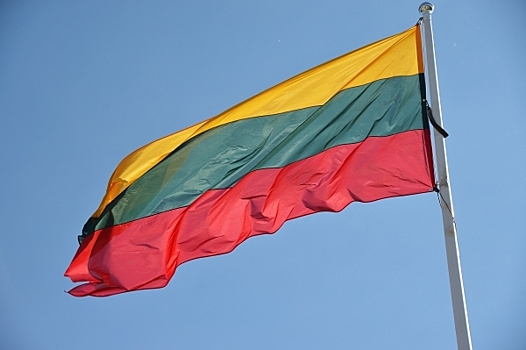 В Литве пропал доступ к сайтам президента и правительства