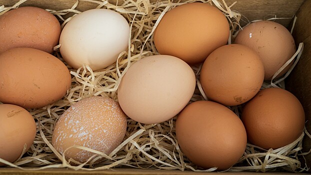 В Минсельхозе оценили ситуацию с яйцами в России