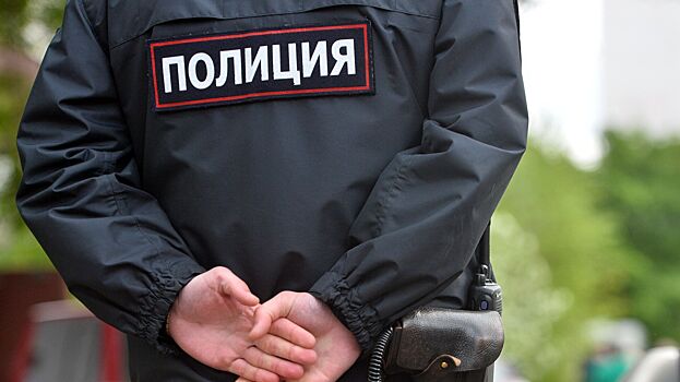 В московских ТЦ предложили выставлять вооруженную охрану