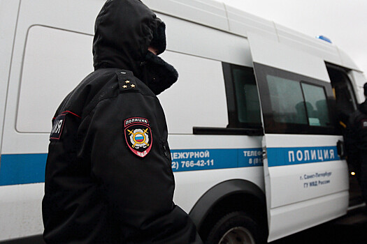В Ульяновске неизвестные избили 11-летнего ребенка и его мать