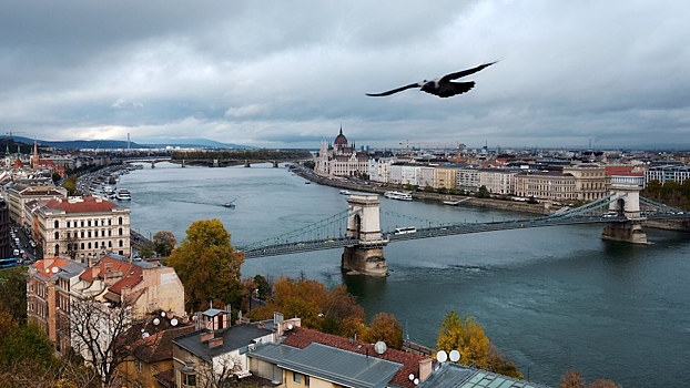 В Венгрии заявили о неподобающей речи посла США в Будапеште