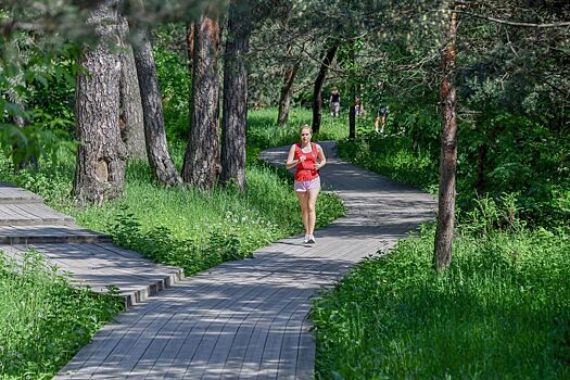 В Москве стартовало голосование по выбору лучшего парка для пробежек