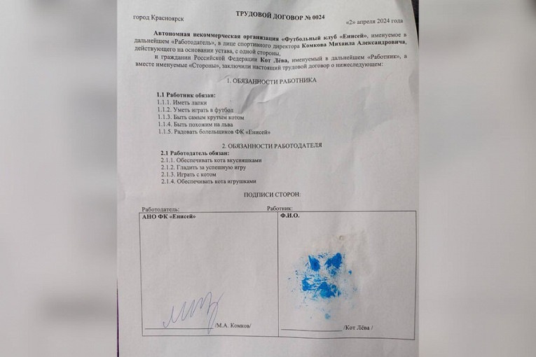 «Енисей» подписал контракт с котом из красноярского приюта1