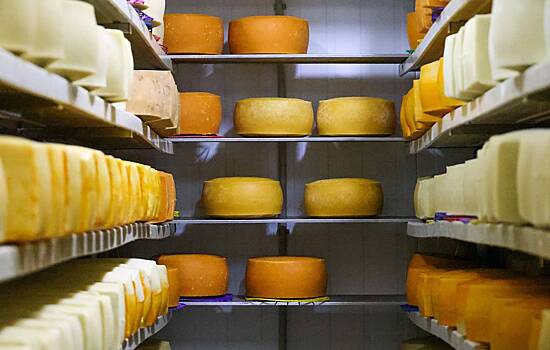 Изобретен способ консервации сыра, который не предусматривает антибиотики