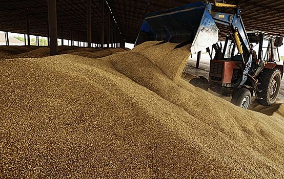 Казахстан продлил запрет на ввоз пшеницы всеми видами транспорта