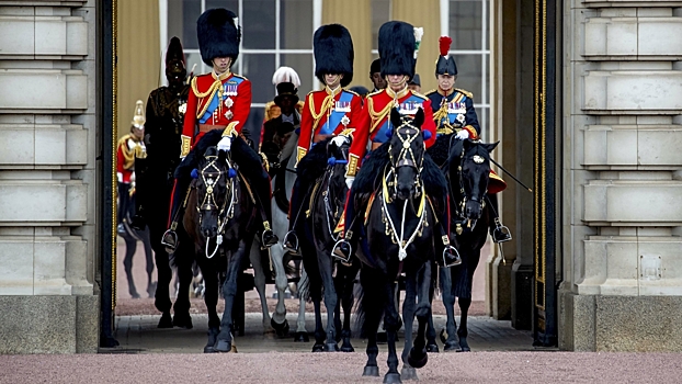 Королевские лошади сбежали в Лондоне и устроили несколько происшествий