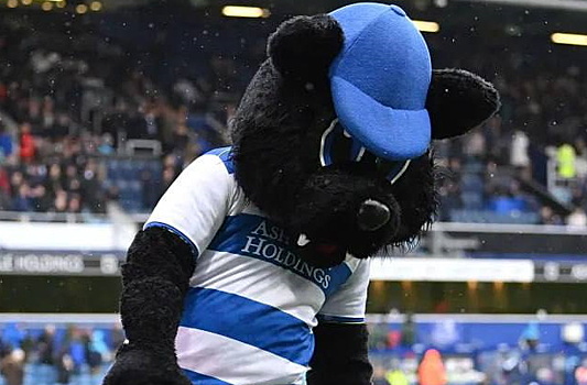 В Англии футбольный клуб уволил кота-маскота за флирт с болельщицами
