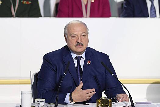 Лукашенко призвал участвующих в Олимпиаде белорусов «набить им морду»