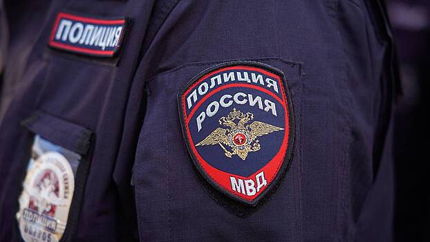 Москвичка напала на полицейских, отказавшись предъявить документы