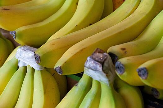 На российскую овощебазу вместо бананов доставили 76 килограммов кокаина