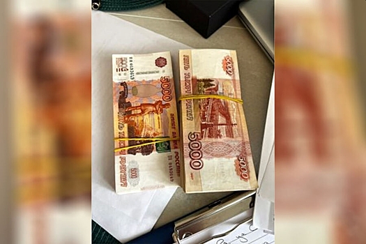 В Петербурге поймали подозреваемых в махинациях на 7 млрд рублей