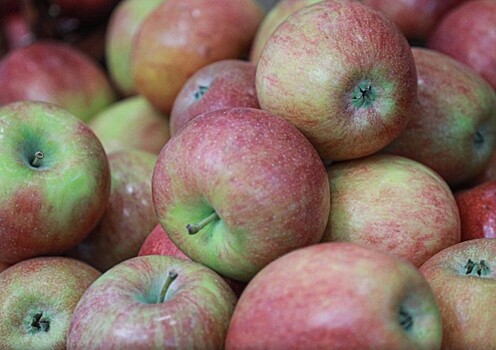Нутрициолог раскрыл, кому и почему нельзя есть яблоки