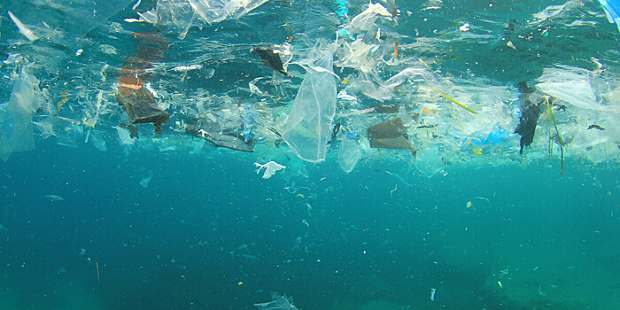 Оценено количество пластика на дне Мирового океана