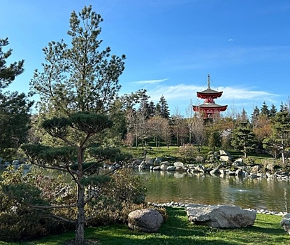 Туристы жалуются, что не могут попасть в Японский сад в Краснодаре