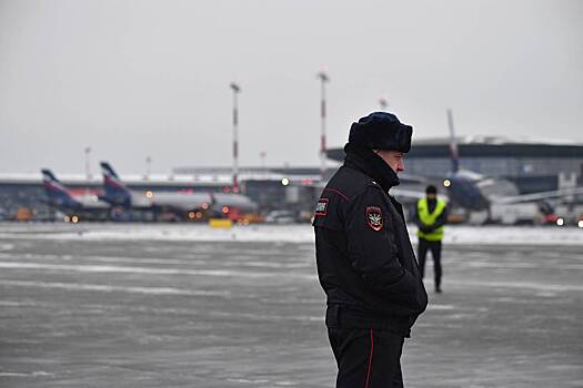 Опоздавший на рейс россиянин выбежал на взлетную полосу и угодил в полицию