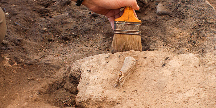 Останки первых людей возрастом 1,86 миллиона лет обнаружили в Кении