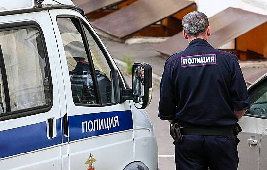 Подозреваемый в нападении на полицейских в Подмосковье не признал вину