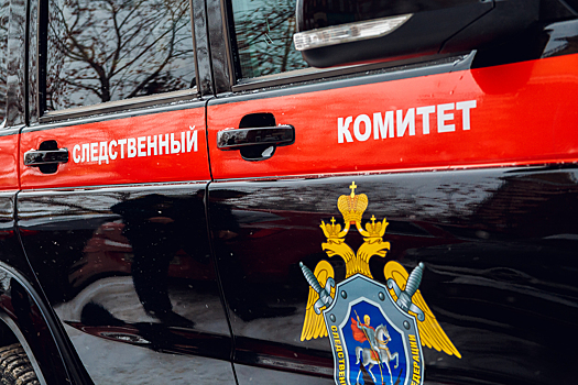 Подростки обнаружили перемотанное скотчем тело на мусорке в Красноярске