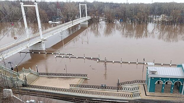 Подсчитан ущерб от паводка в Оренбургской области для сферы АПК