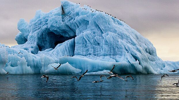 Ученые рассказали о последствиях потепления в Арктике