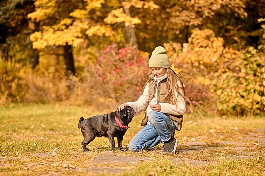 Правда ли, что прогулки с собакой укрепляют психику