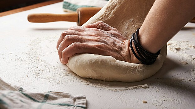 Резидент «Сколково» научился печь хлеб из мух