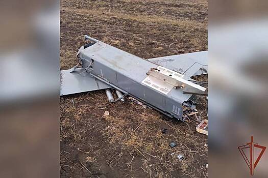 Росгвардия обезвредила беспилотник ВСУ со взрывчаткой в ЛНР