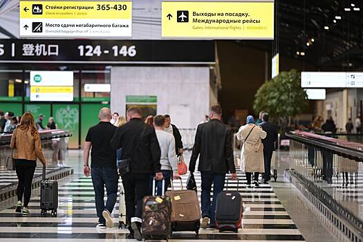 Россиян предупредили о новой мошеннической схеме в аэропортах Москвы