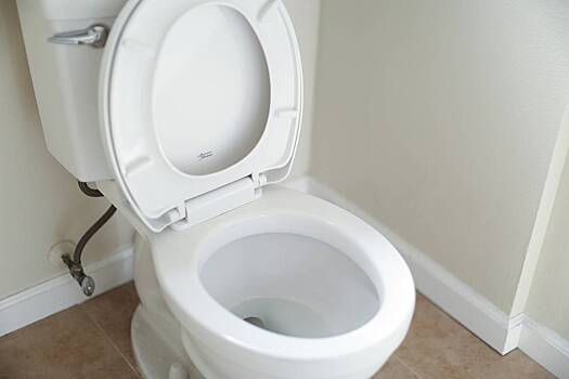 Россиянам назвали два правила похода в туалет