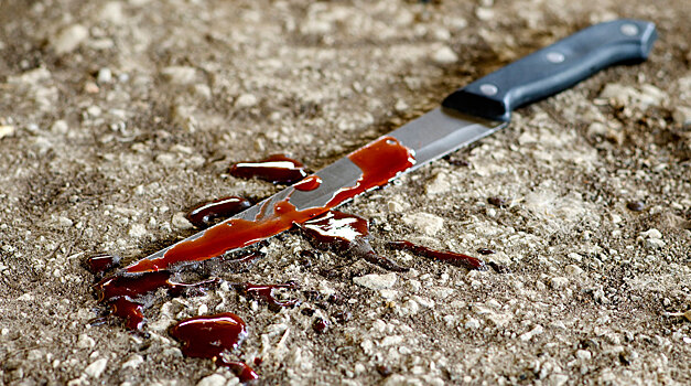 В Ингушетии первоклассник ударил старшую сестру ножом в сердце