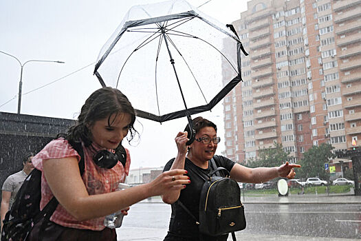 Синоптик сообщил о «дождливом максимуме» в Москве 27 апреля