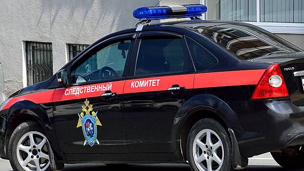 СК ходатайствует об аресте обвиняемого в изнасиловании двух детей на юге Москвы