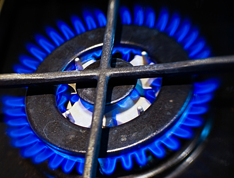 СМИ: штрафы за недопуск газовщиков в дома увеличат до 2 млн рублей