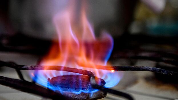С начала года в Москве проверили около 20 процентов газовых плит