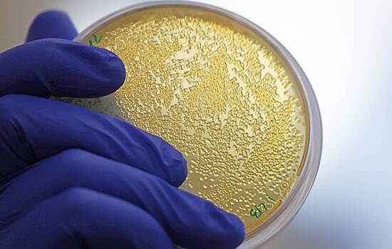 Создан новый класс антибиотиков, атакующих клеточные стенки бактерий